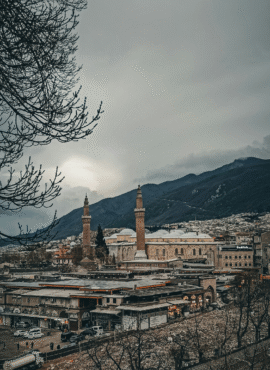 Bursa