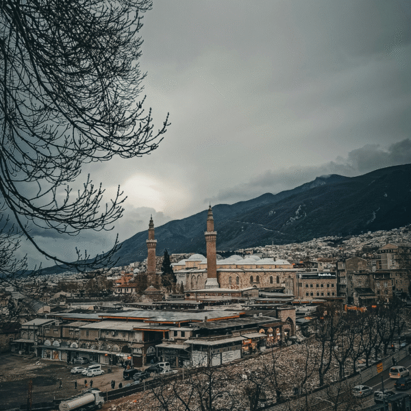 Bursa