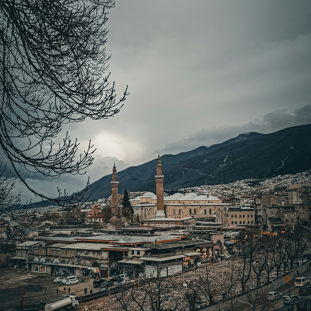 Bursa